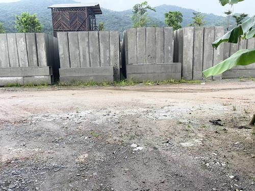 六盒联盟宝典资料